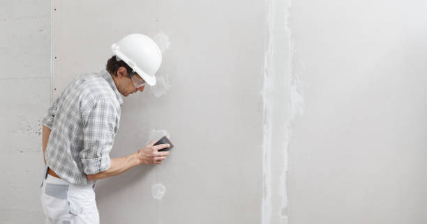 Best Mold Remediation for Healthcare Facilities  in New Baltimore, VA