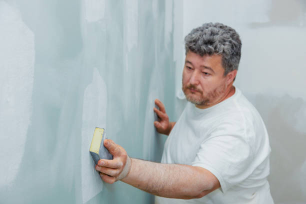 Best Real Estate Mold Inspection  in New Baltimore, VA